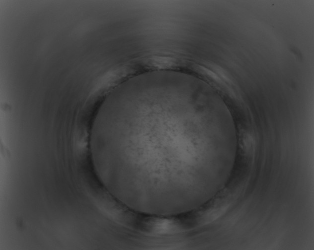 X0000090870507200708031012