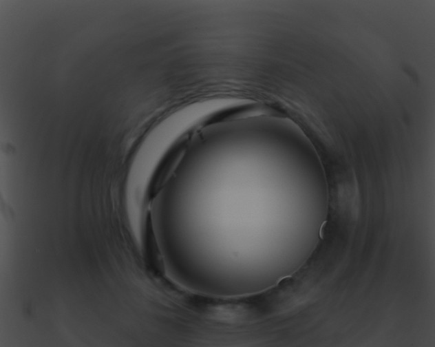 X0000090870508200708031012