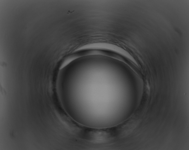 X0000090870512200708031012