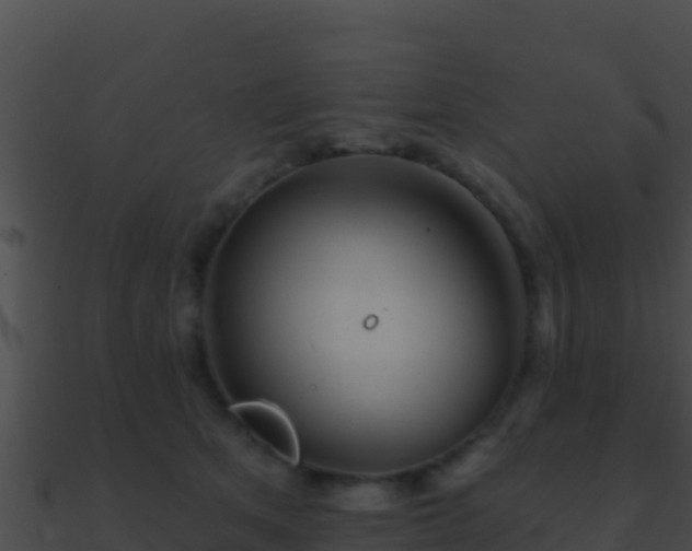 X0000090870513200708031012