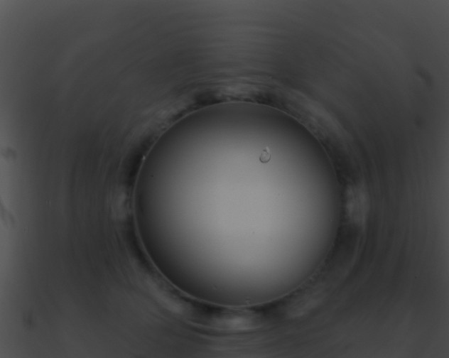 X0000090870514200708031012