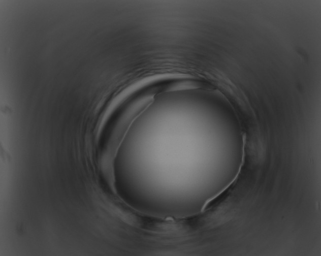 X0000090870516200708031012