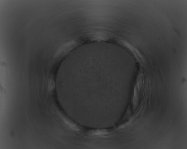 X0000090870517200708031012