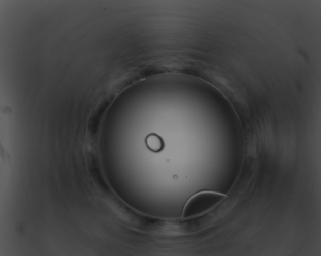 X0000090870518200708031012