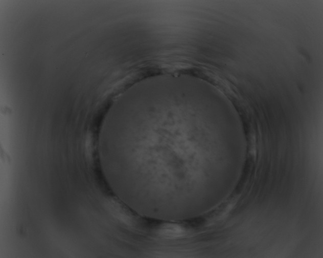 X0000090870519200708031012