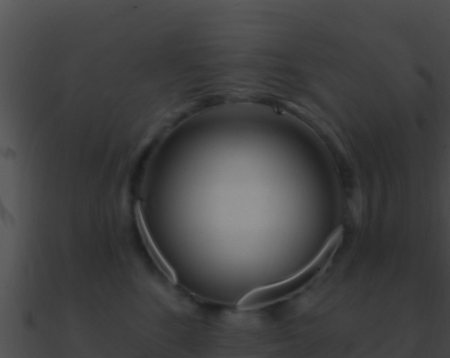 X0000090870520200708031012