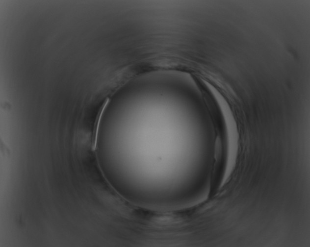 X0000090870521200708031012