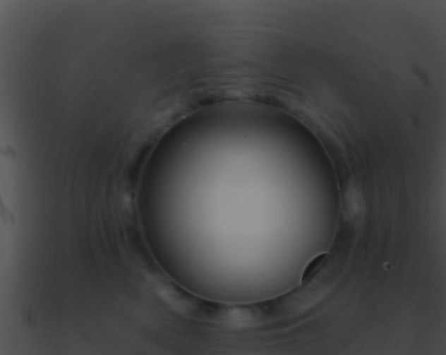 X0000090870522200708031012