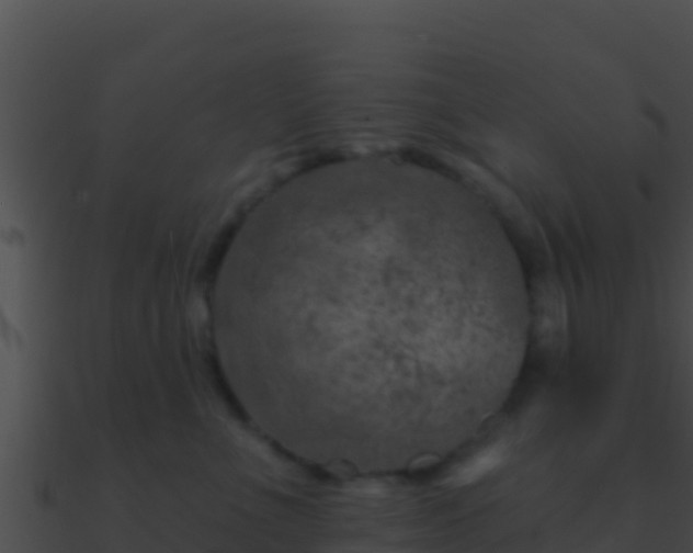 X0000090870523200708031012