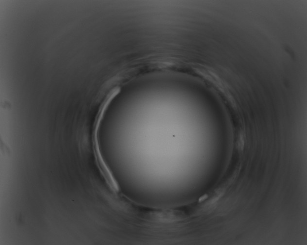 X0000090870524200708031012