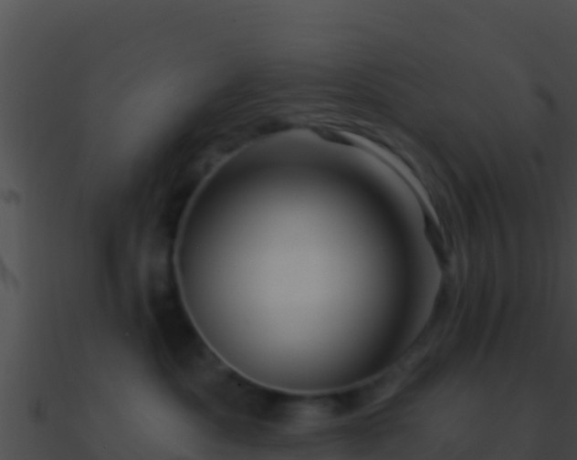 X0000090870525200708031012