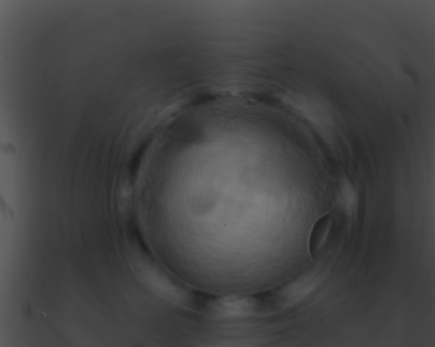 X0000090870526200708031012