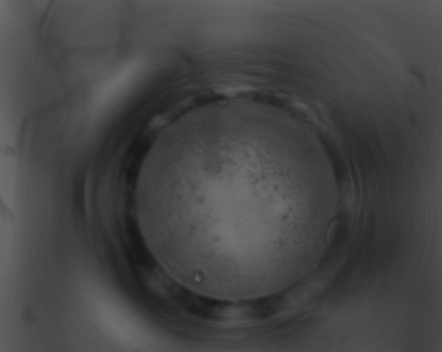 X0000090870527200708031012