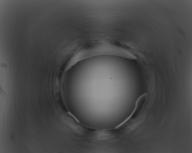 X0000090870528200708031012