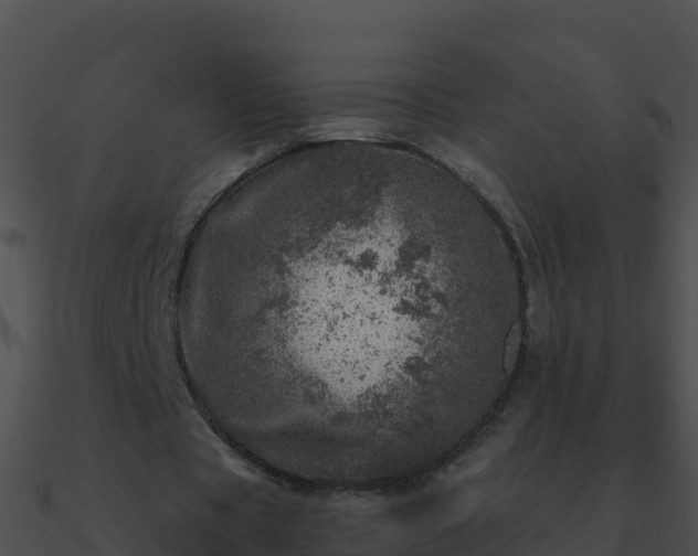 X0000090870529200708031011