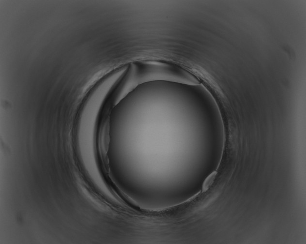 X0000090870530200708031011