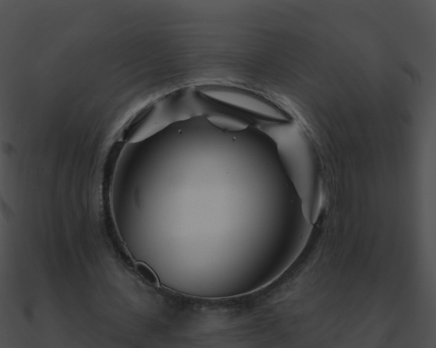 X0000090870531200708031011