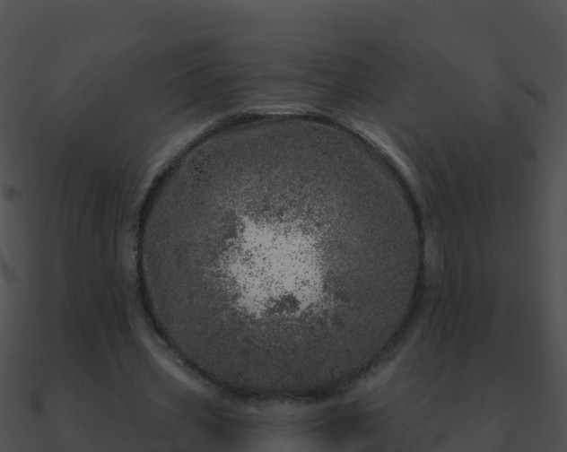 X0000090870533200708031011