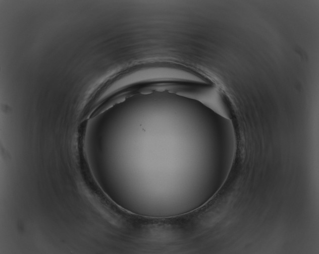 X0000090870535200708031011