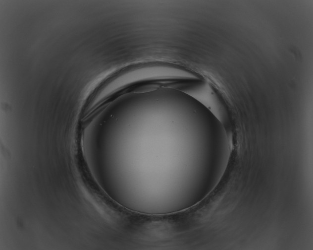 X0000090870536200708031011