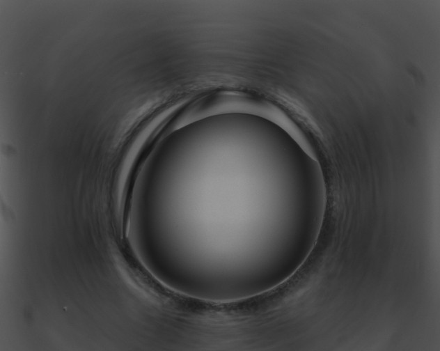 X0000090870538200708031011