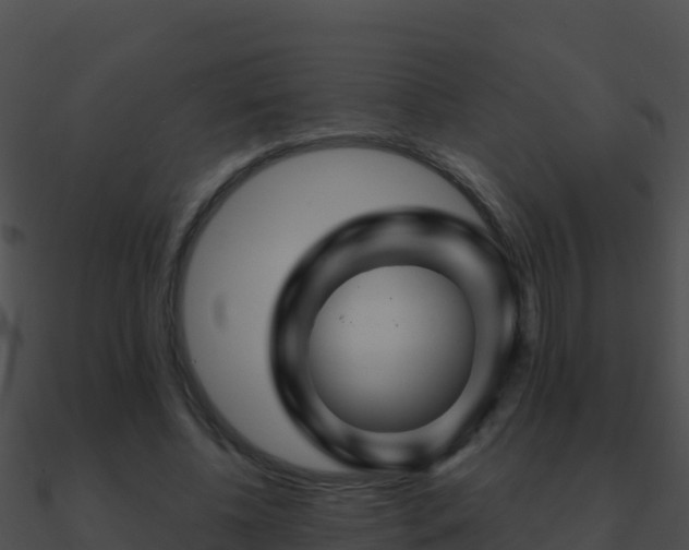 X0000090870540200708031011