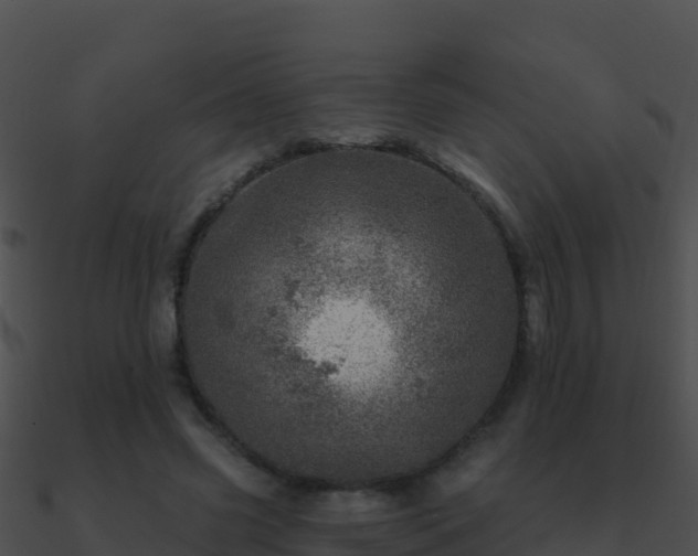 X0000090870541200708031011