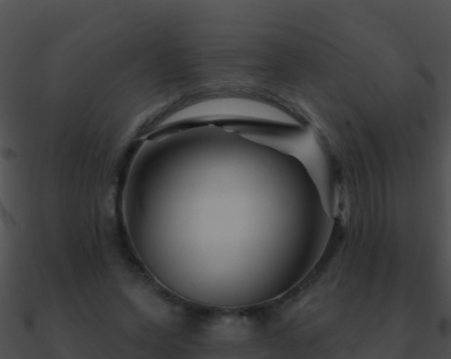 X0000090870543200708031011