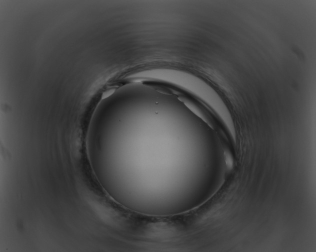 X0000090870544200708031011