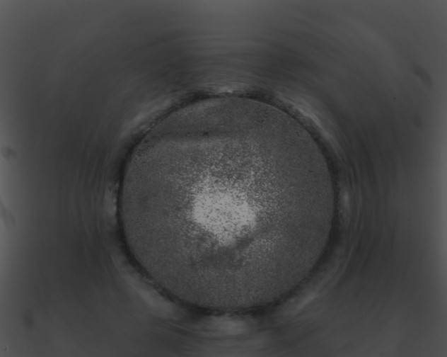 X0000090870545200708031011