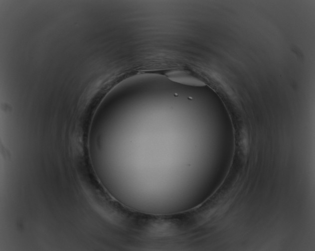 X0000090870547200708031011