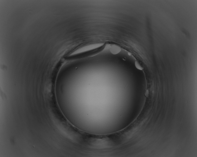 X0000090870548200708031011