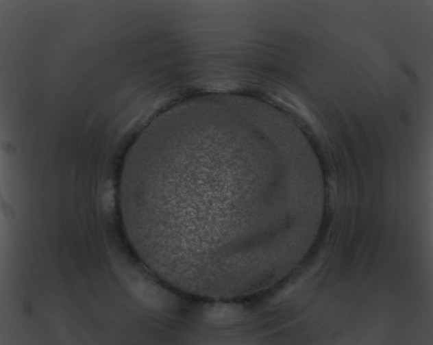 X0000090870549200708031011