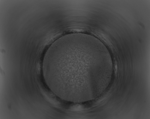 X0000090870551200708031011