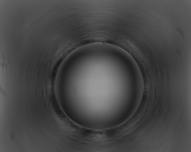 X0000090870552200708031011