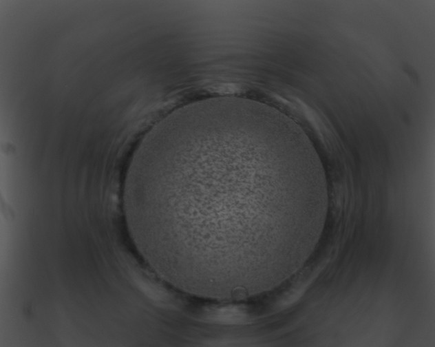 X0000090870553200708031011