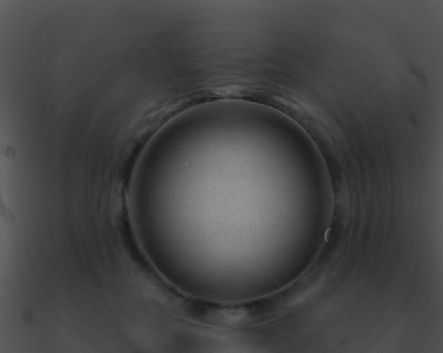 X0000090870554200708031011