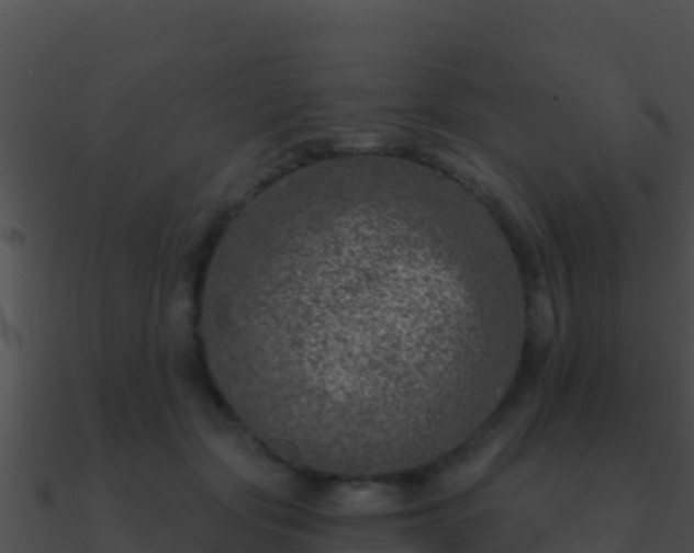 X0000090870557200708031011