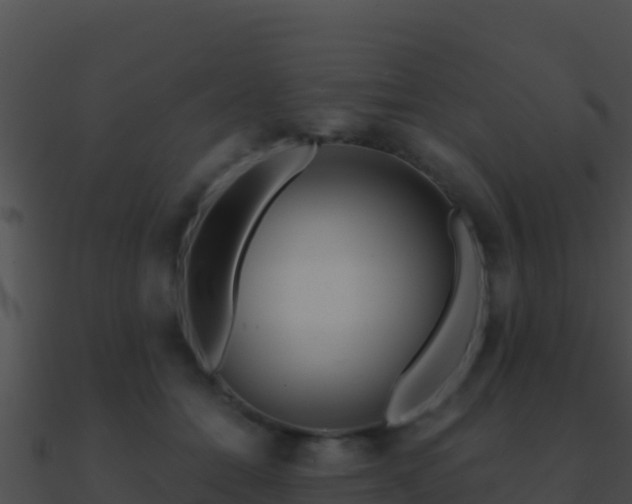 X0000090870558200708031011