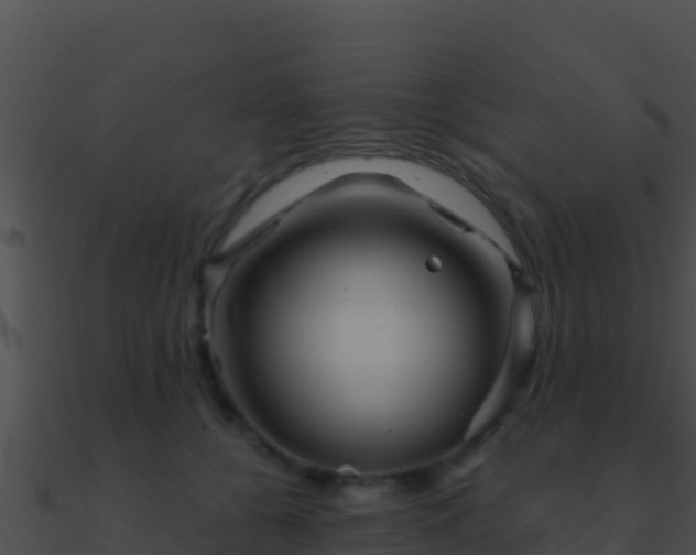 X0000090870560200708031011