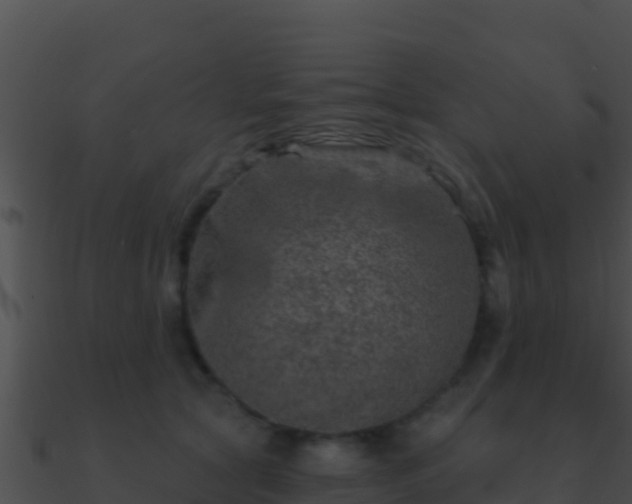 X0000090870561200708031011