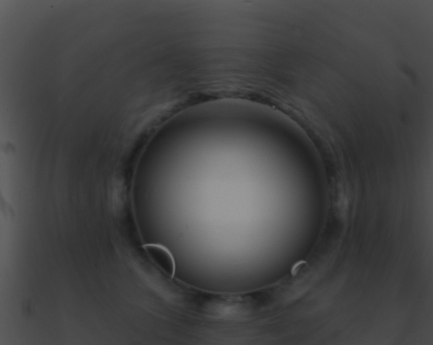 X0000090870563200708031011