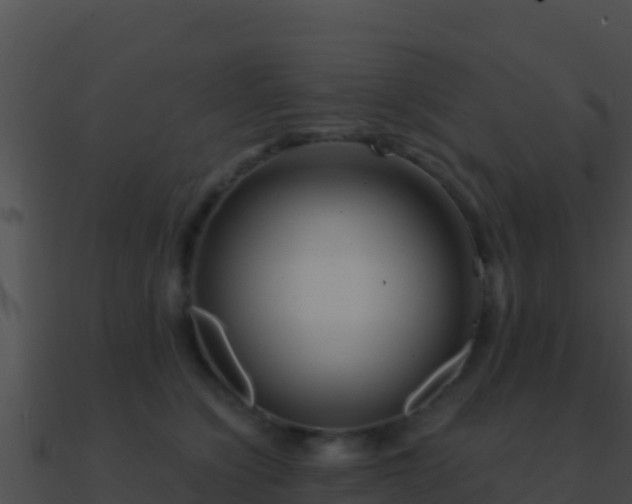 X0000090870564200708031011