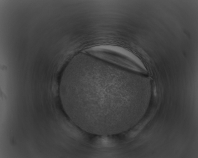 X0000090870565200708031011