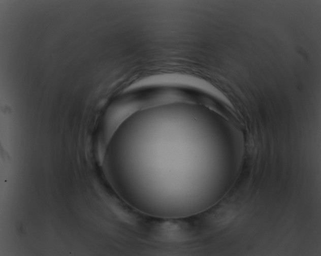 X0000090870566200708031011