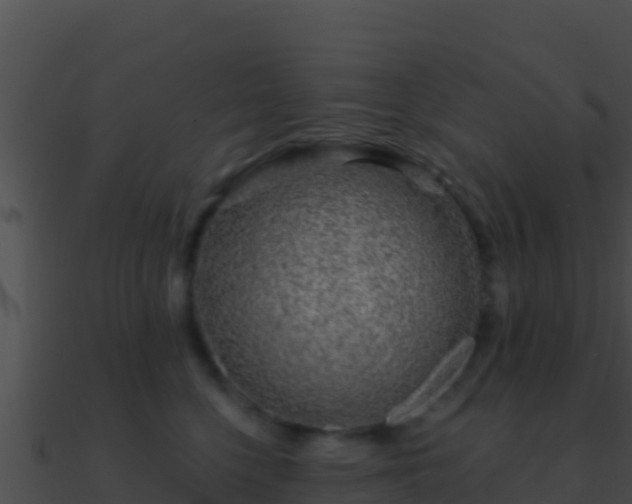 X0000090870568200708031011