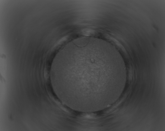 X0000090870569200708031011