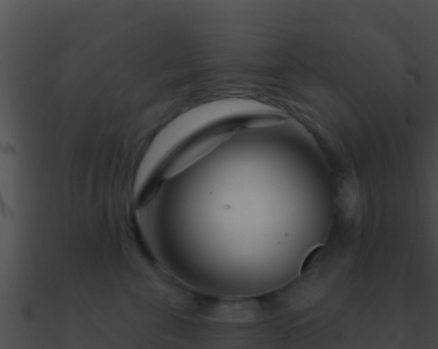 X0000090870571200708031011