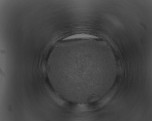 X0000090870573200708031011