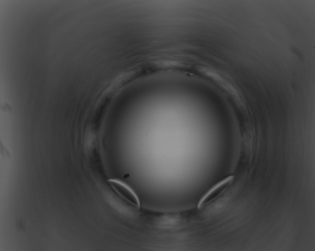 X0000090870574200708031011